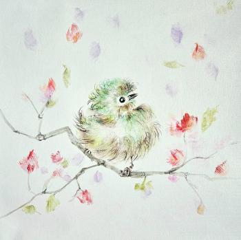 ��������� ����. ����� ����