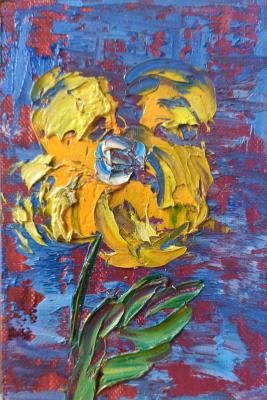 ������� �����������