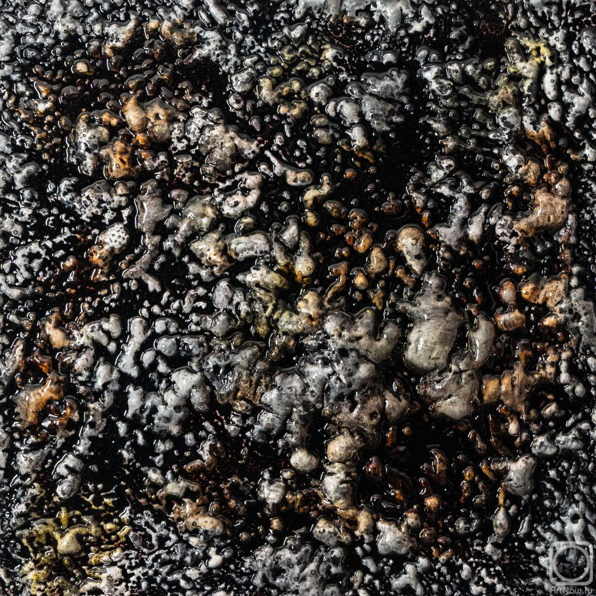 �������. �������� �����. ����������