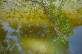 ������� ����. ������ ϸ��