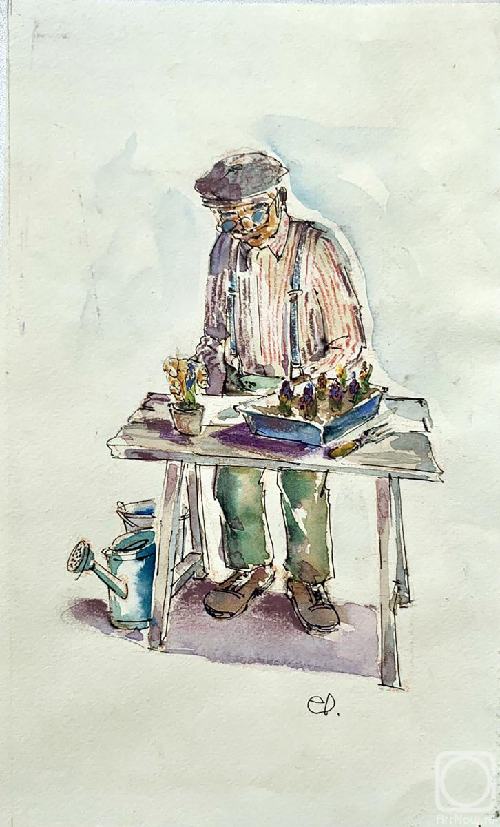 �������. ����������� ���������. What are they doing in the Hyacinth house?