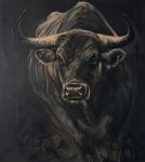 ������ ������. ������� ����