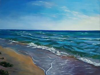 ���� ���������. ������� �������