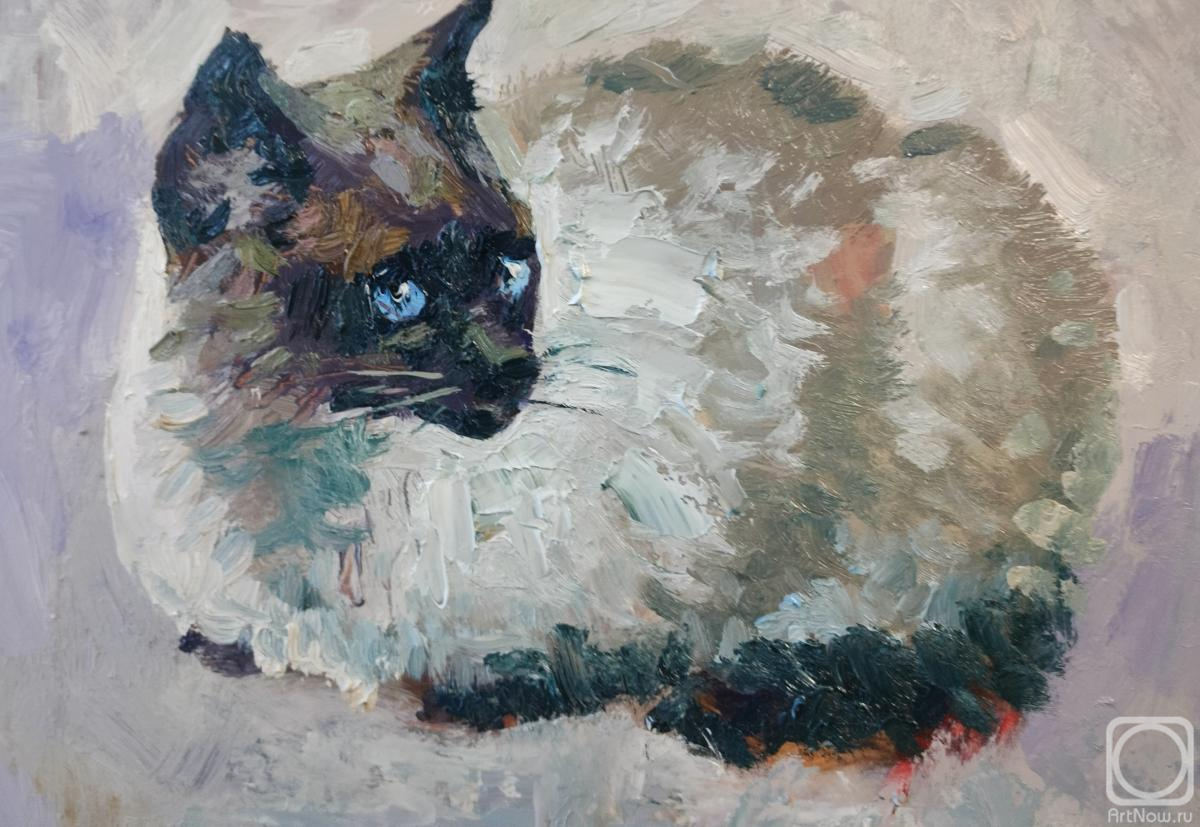 �������. ������� �������. �� ���-�� �����������