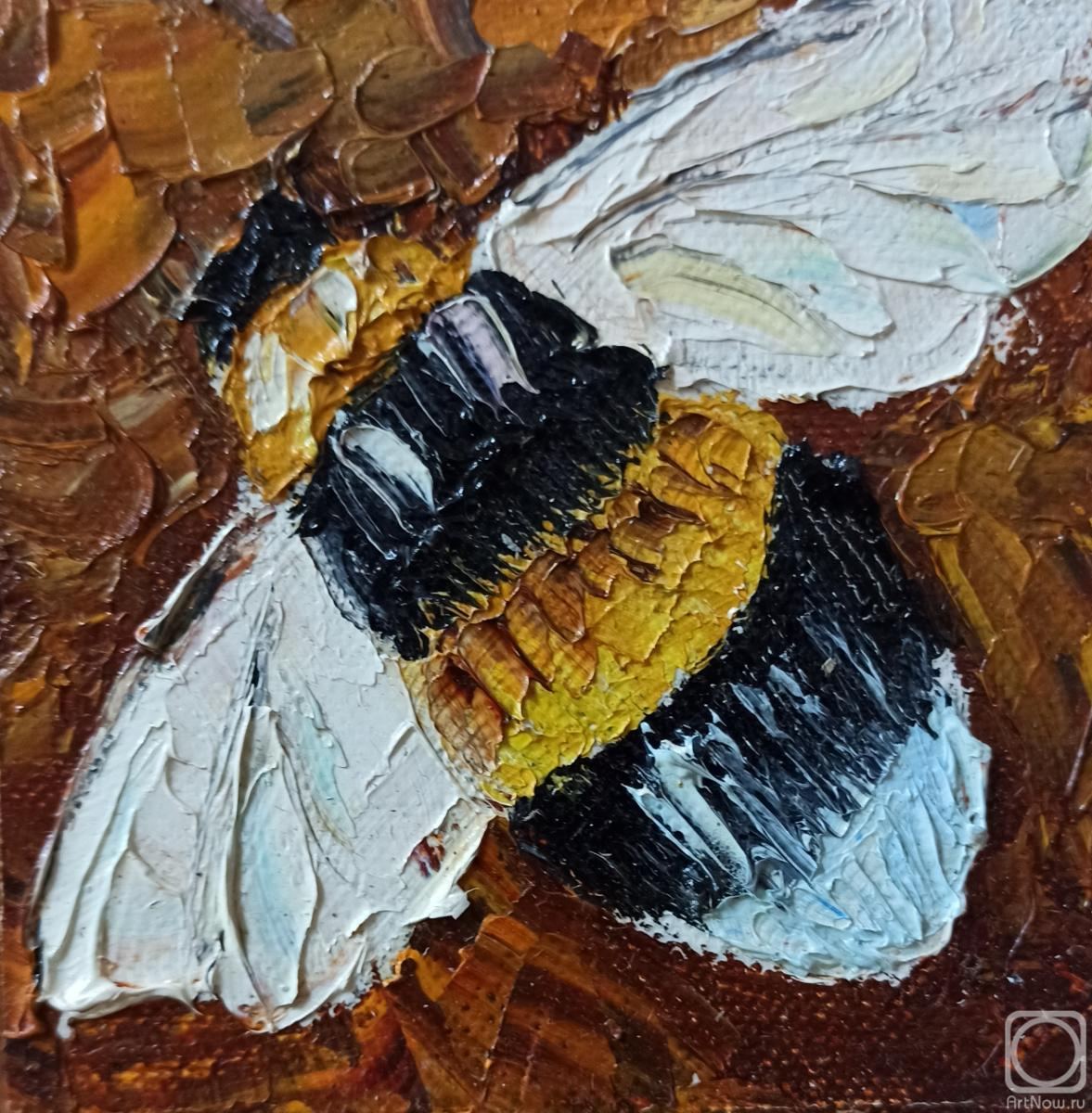 ������� ������ �� ������. ������ �������. ��������� �����