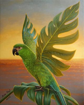 ���� ��� - ����������� ��� 3. ��� ����