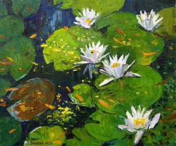 �����. ������� �����