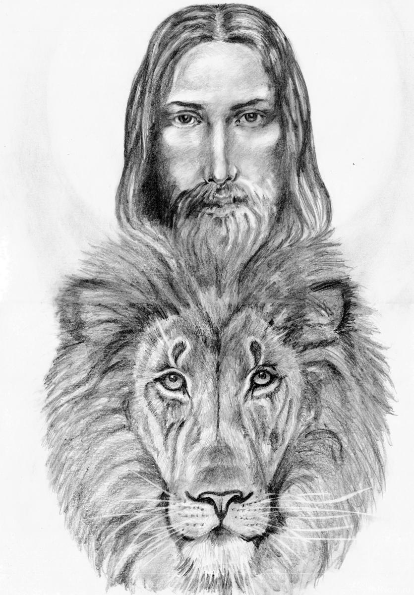 �������. ���������� �����. ��� �� ������ ������