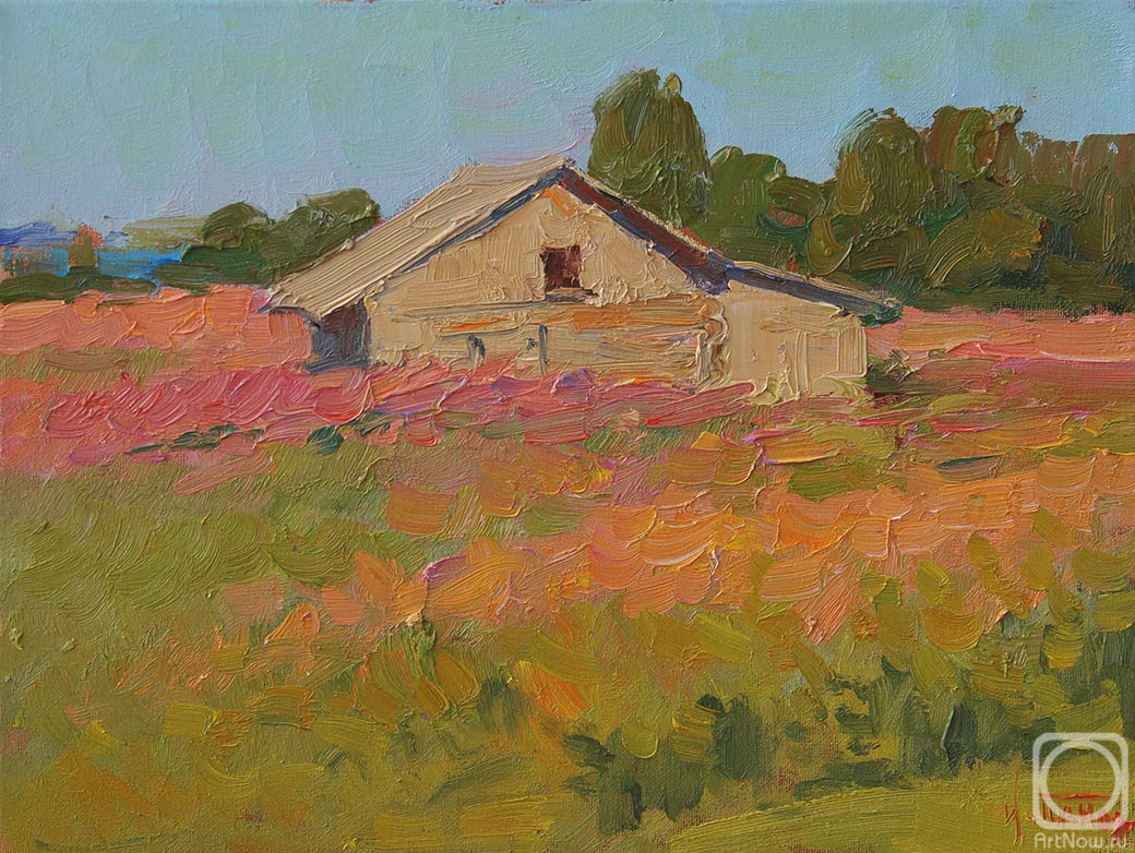 Panov Igor. In the Ivan-tea thickets