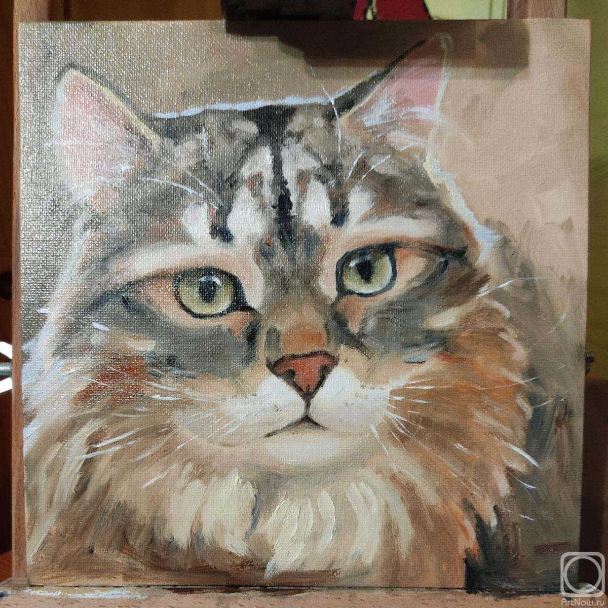 �������. ������ �������. ��� �������