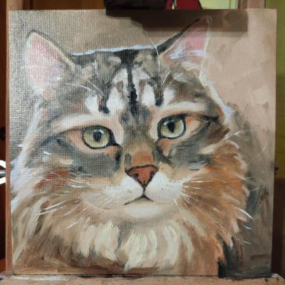 ��� �������