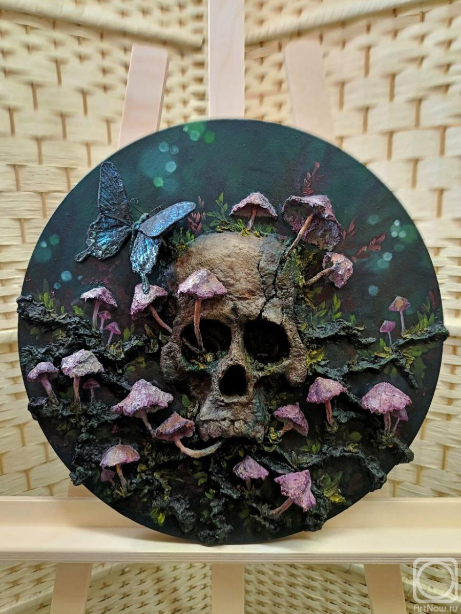 ������ ���������. ����