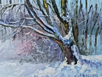 ������� ������� � ����