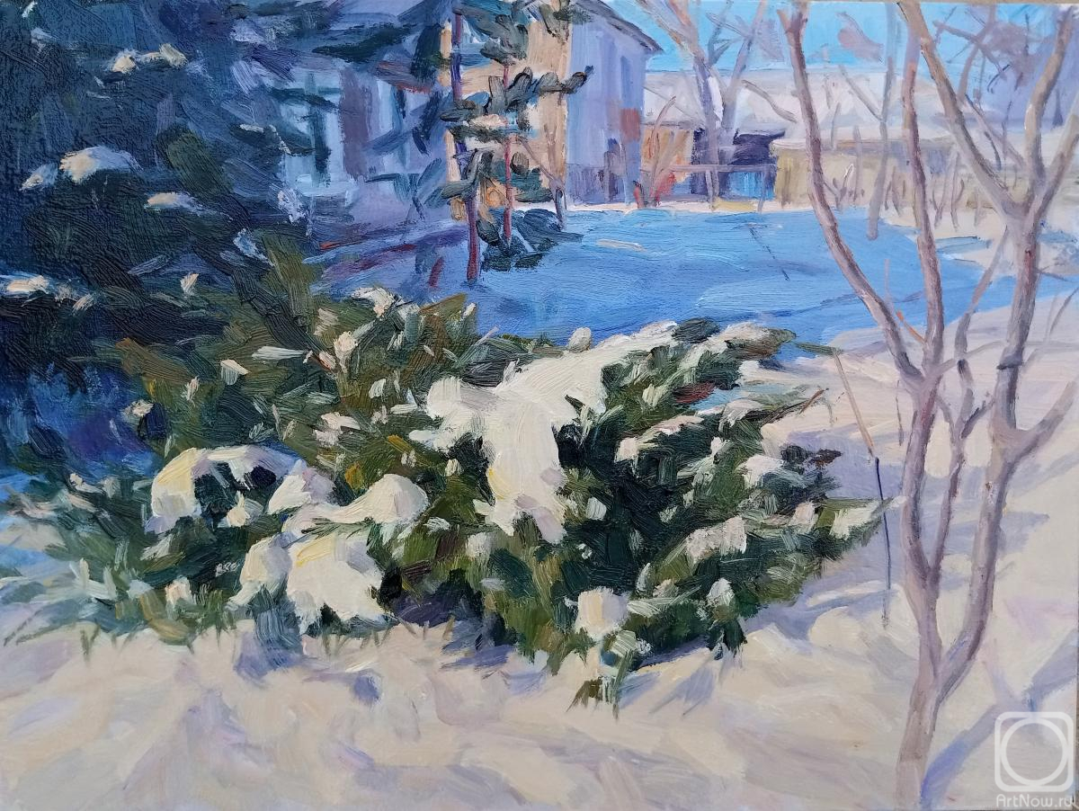 Voronov Vladimir. Untitled