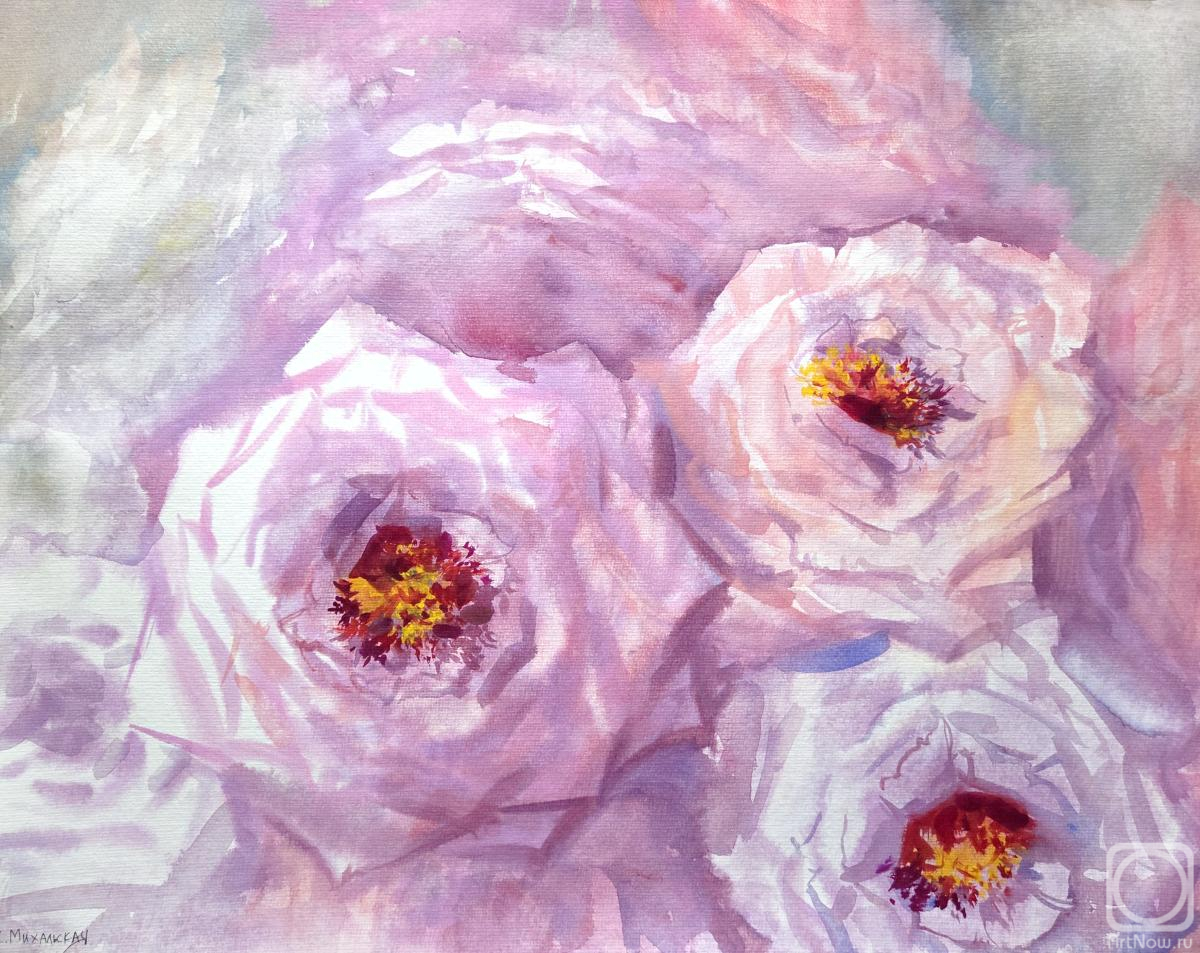 �������. ���������� ���������. ����