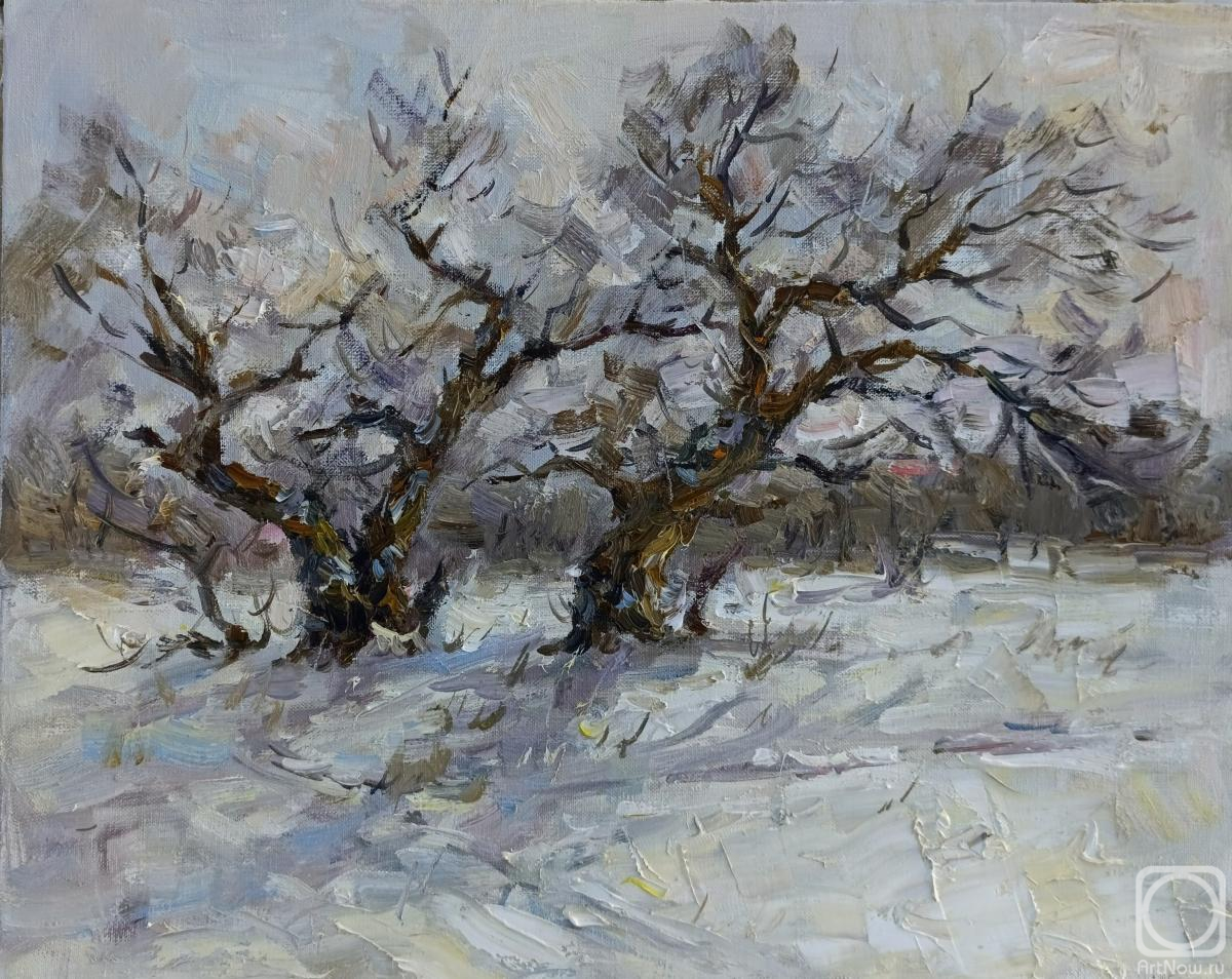 ������� ������ �� ������. ������ ����. ����