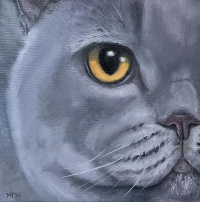 �������� (���������� �����). ����� �������