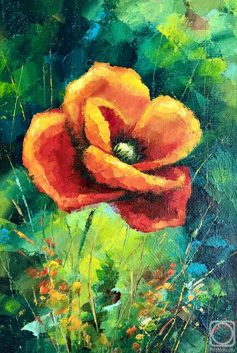 ������� ������ �� ������. ������ ����. �������� ���