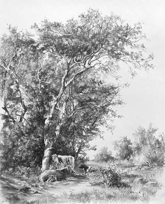 Coolness of Summer (Summer Coolness). Boytsov Aleksandr