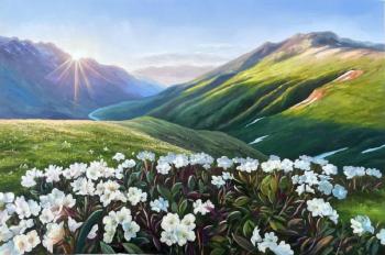 ������ ����������� � ������ ������. ������, �������. ���� ���������