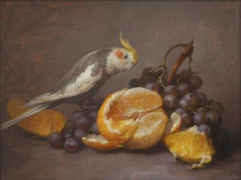 ���� � ����������. �������� �������