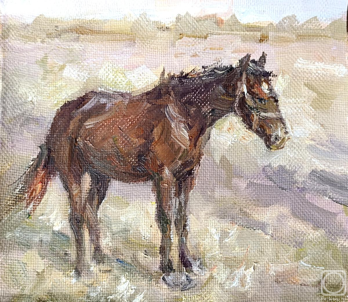 ������� ������ �� ������. ������ ����. �������