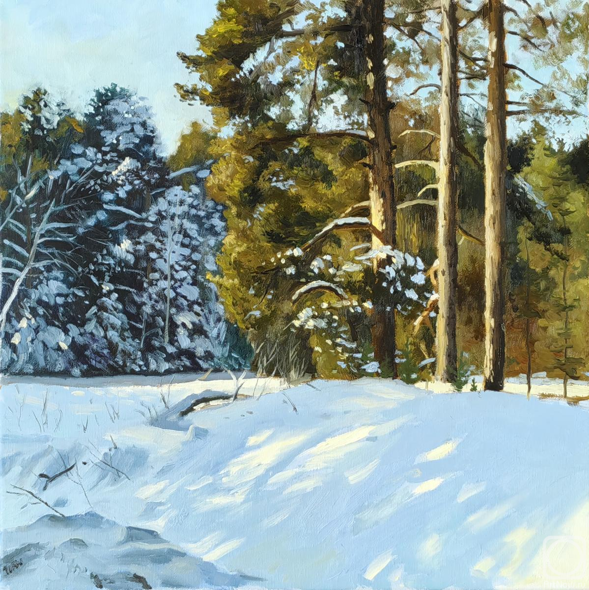 Burtsev Pavel. Untitled