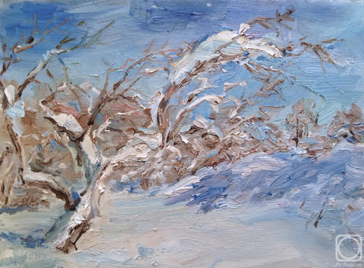 ������� ������ �� ������. �������� ������. ������� � ��������� ����