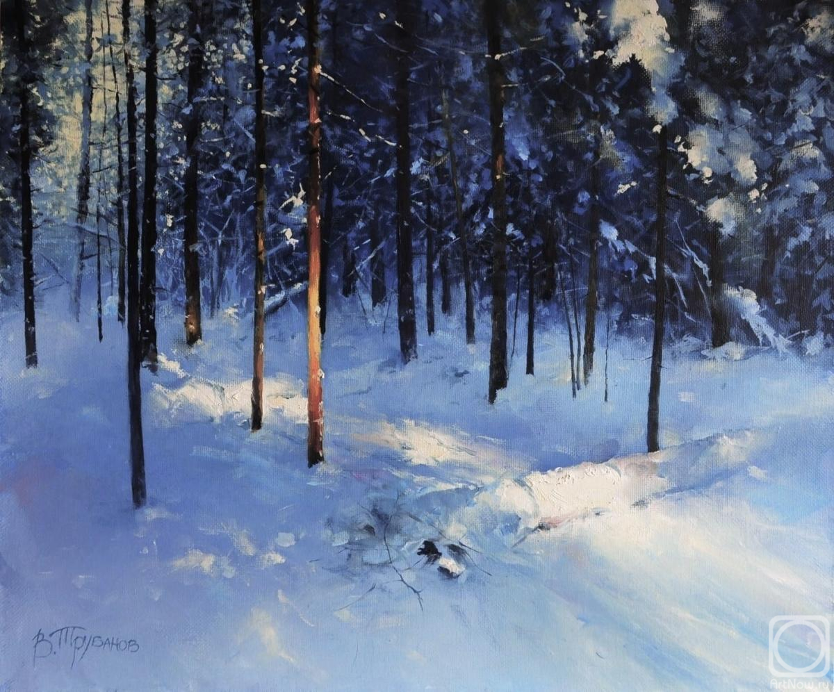 Trubanov Vitaly. Winter plot