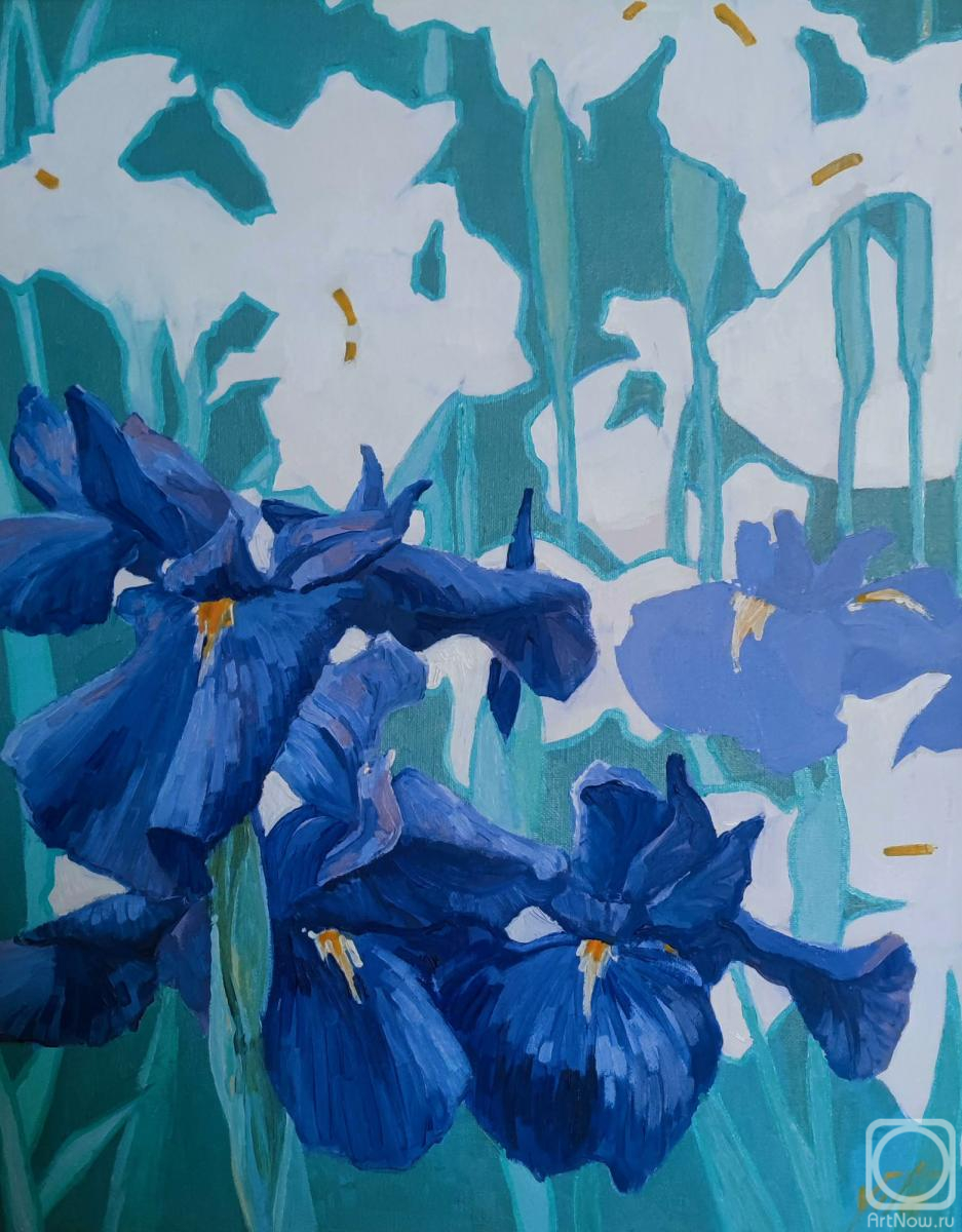 ������� ������ �� ������. ������ ��������. Iris modern