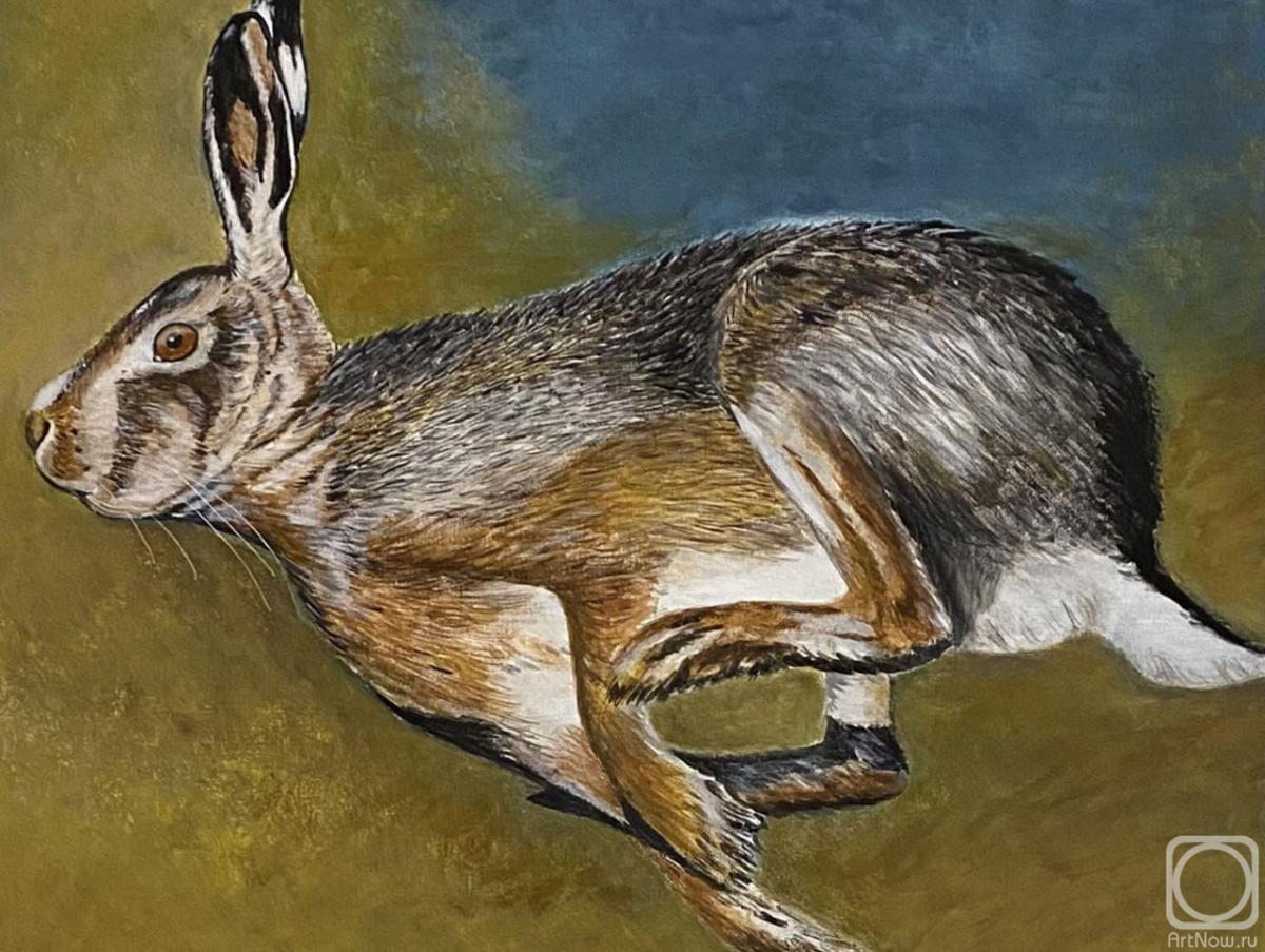 Shuvalova Nataliya. Running Hare