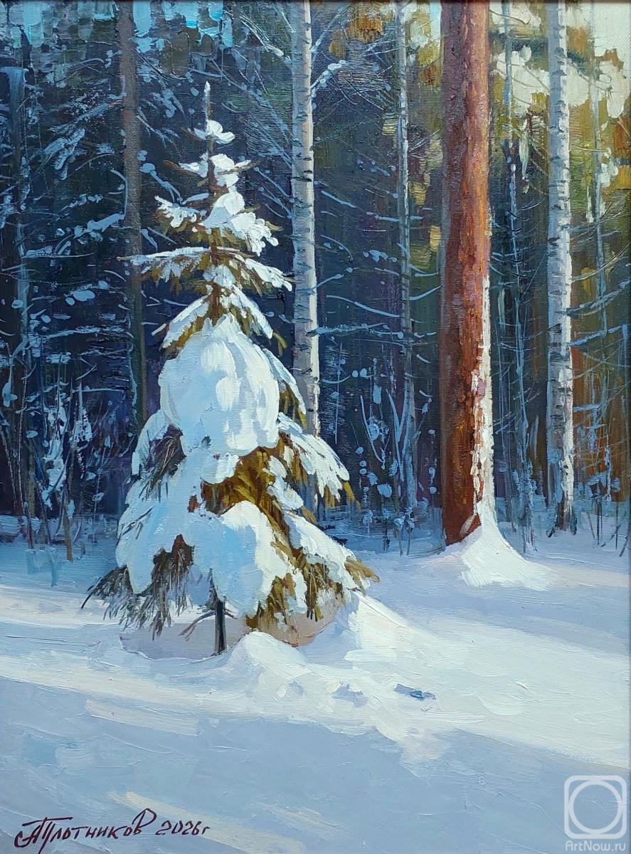 ������� ������ �� ������. ��������� ���������. ������ � �����