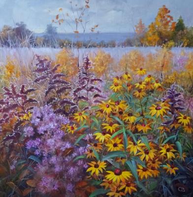 ������� ����. �������� ��������