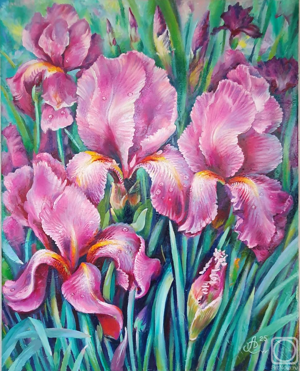 ������� ������ �� ������. �������� �������. ����� ����� ������