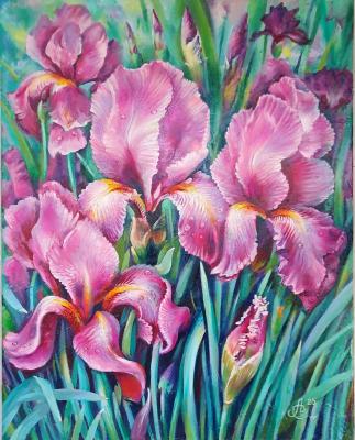 ����� ����� ������. �������� �������