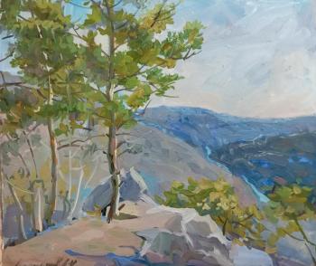 ����������