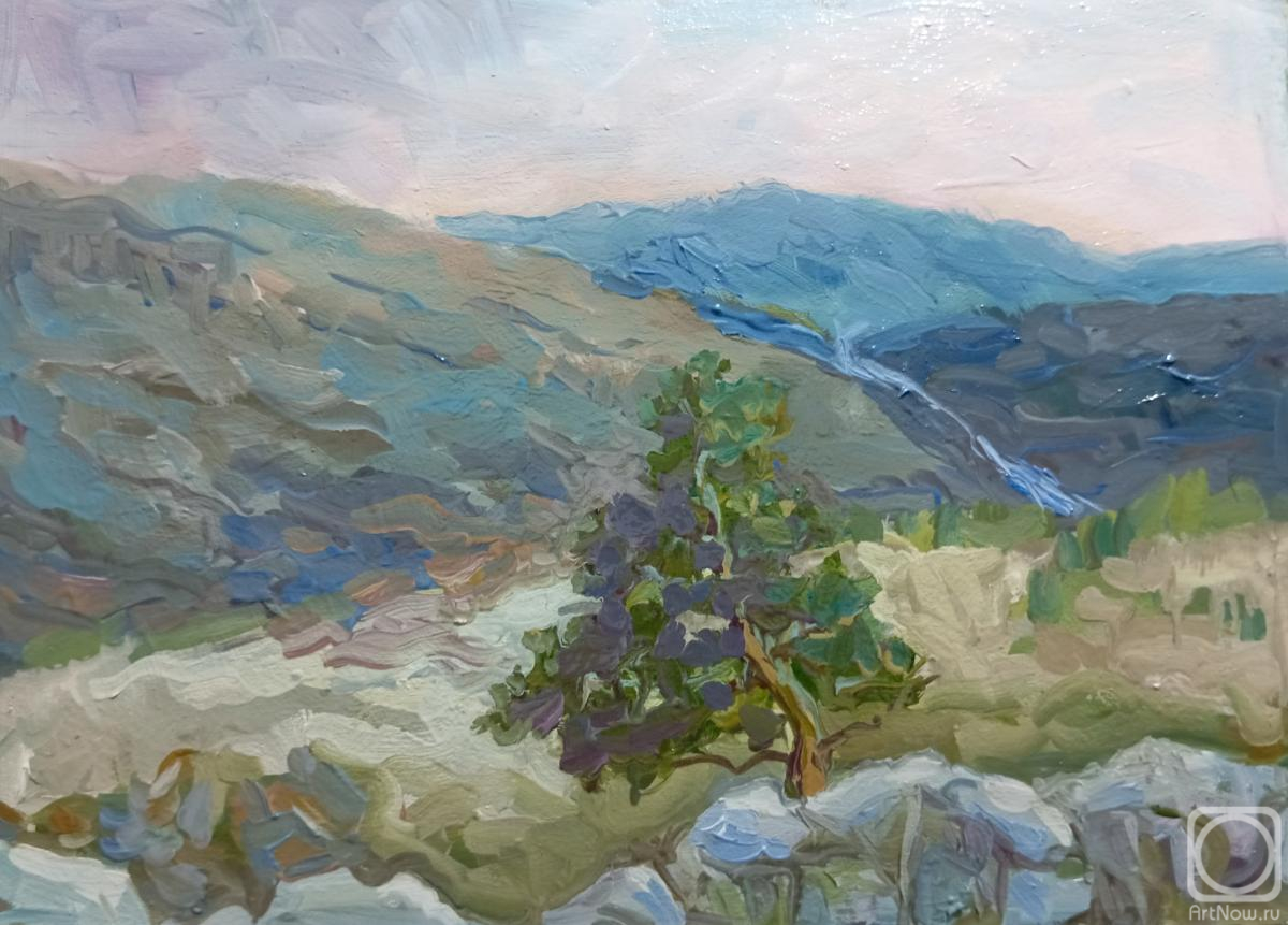 �������. ��������� ����. ��������