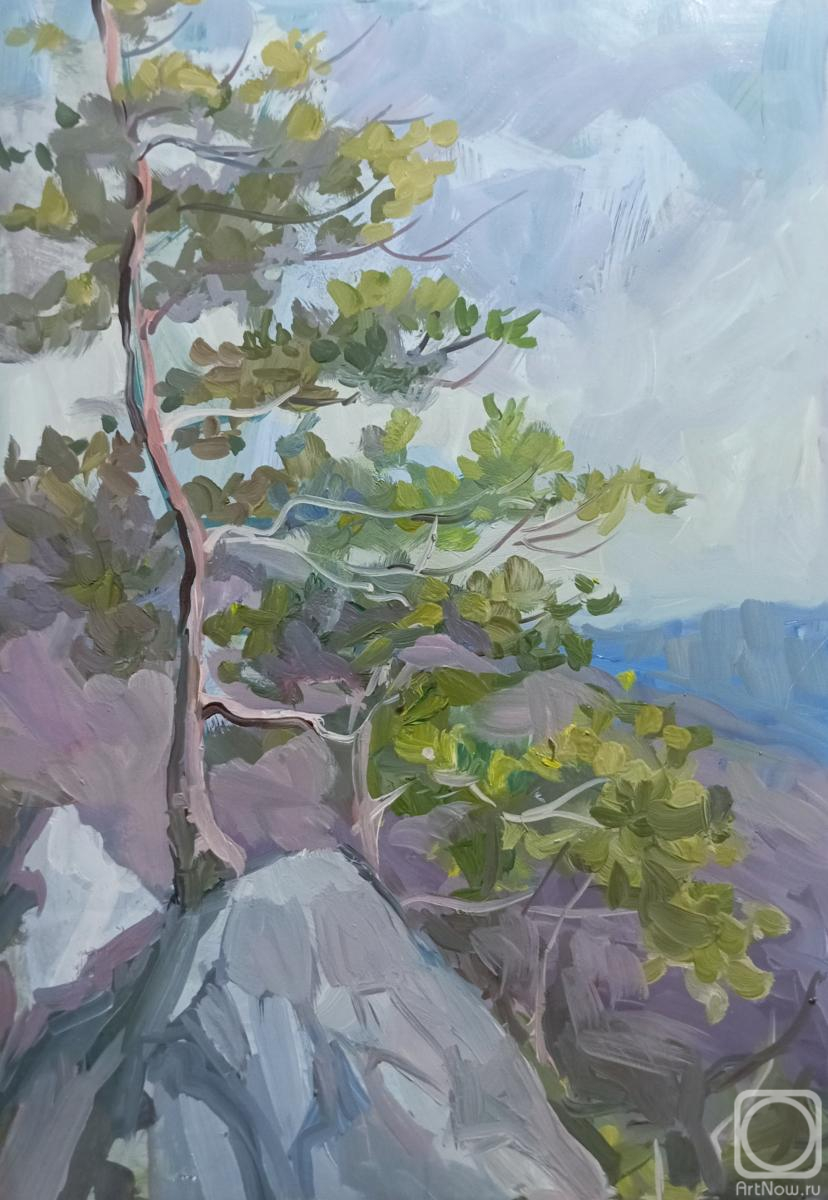 �������. ��������� ����. � �����