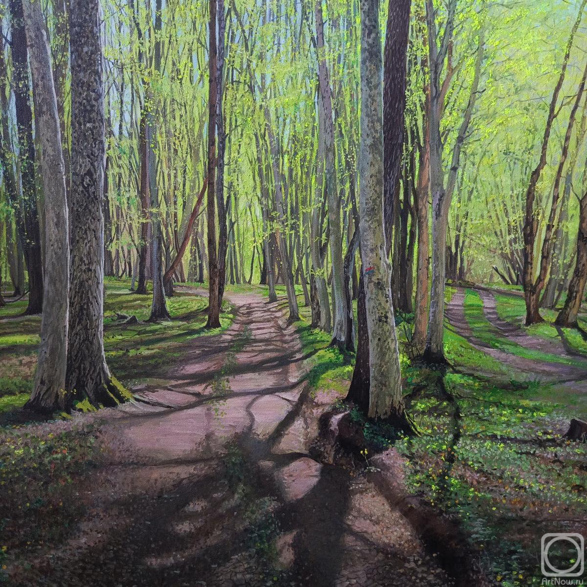 ������� ������ �� ������. �������� ������. ��� ����