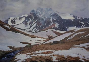 �� �������. �������� ������