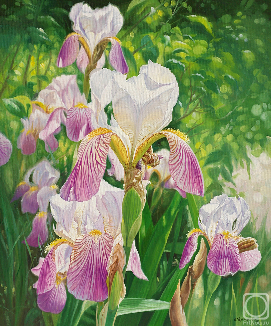 ������� ������ �� ������. ������ ������. �����