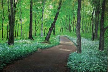 �������� �������. �������� ������