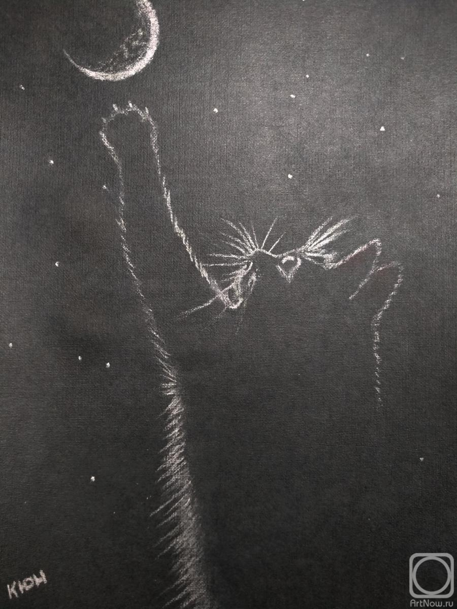 �������. �������� ����. ������ �����������: ������ �����