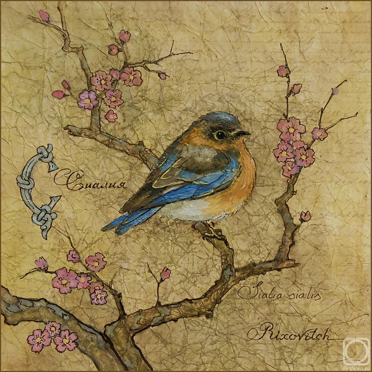 Volkov Sergey. Untitled