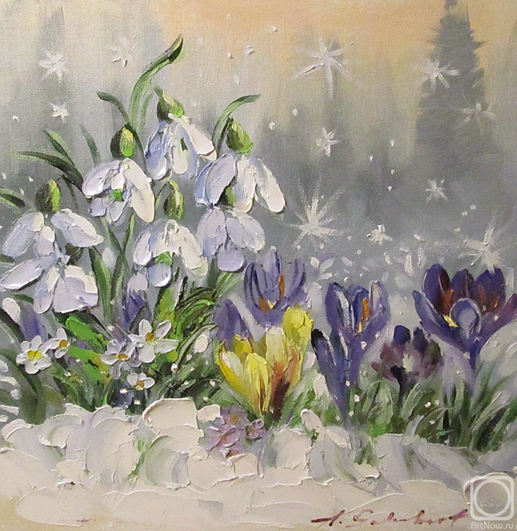 Schubert Albina. Untitled