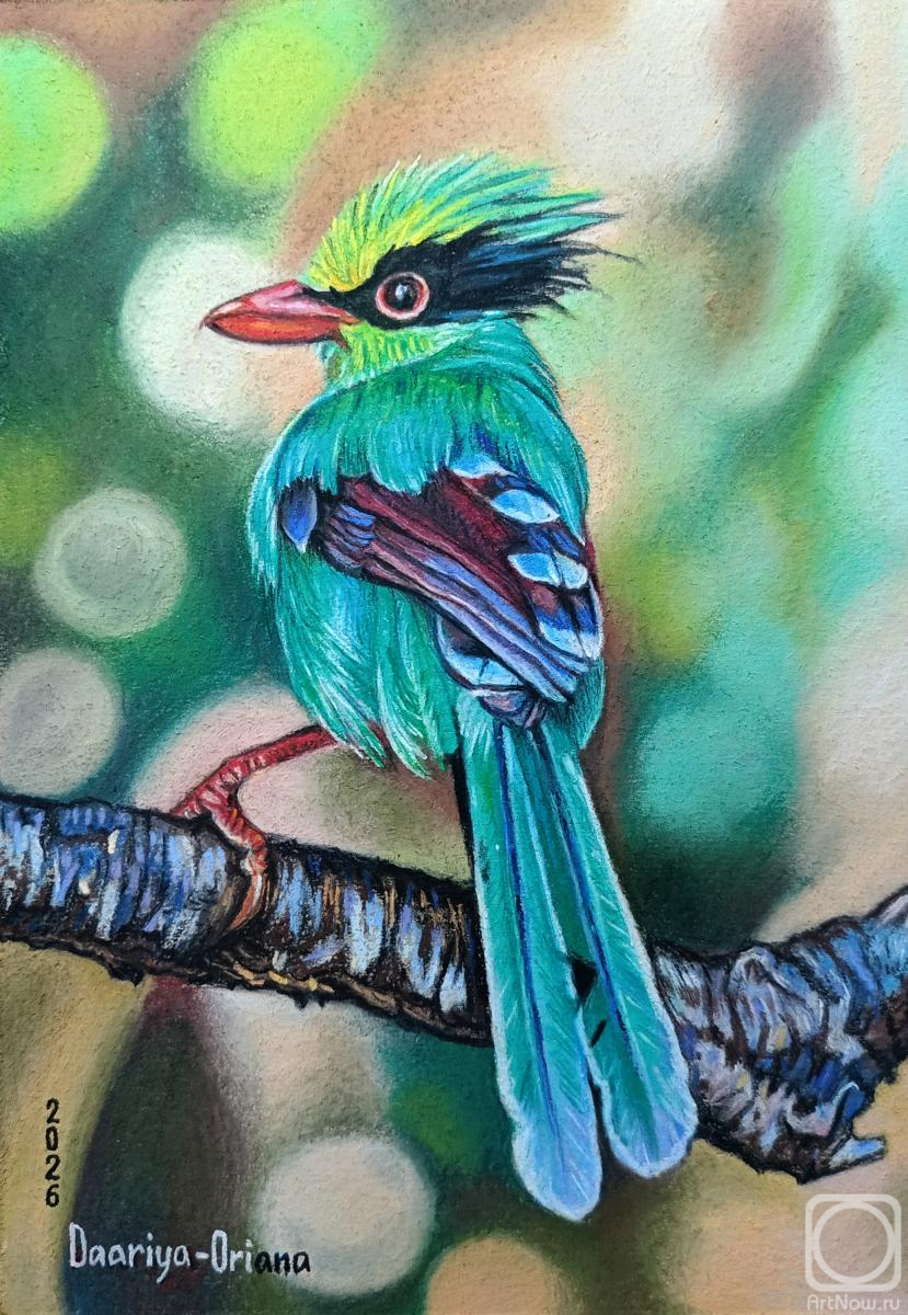 Kabylina Darya. Untitled