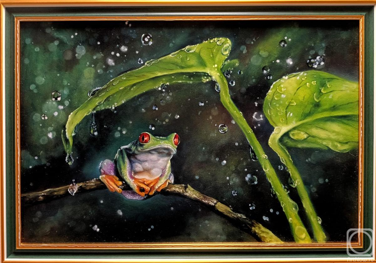 �������. ������ ���������. ������ �����������