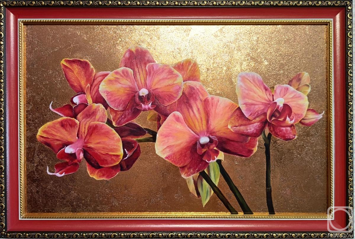 �������. ������ ���������. ������� � ������