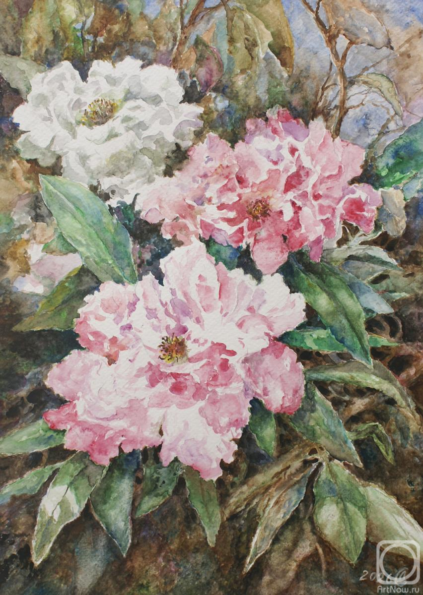 Dorofeev Sergey. Untitled