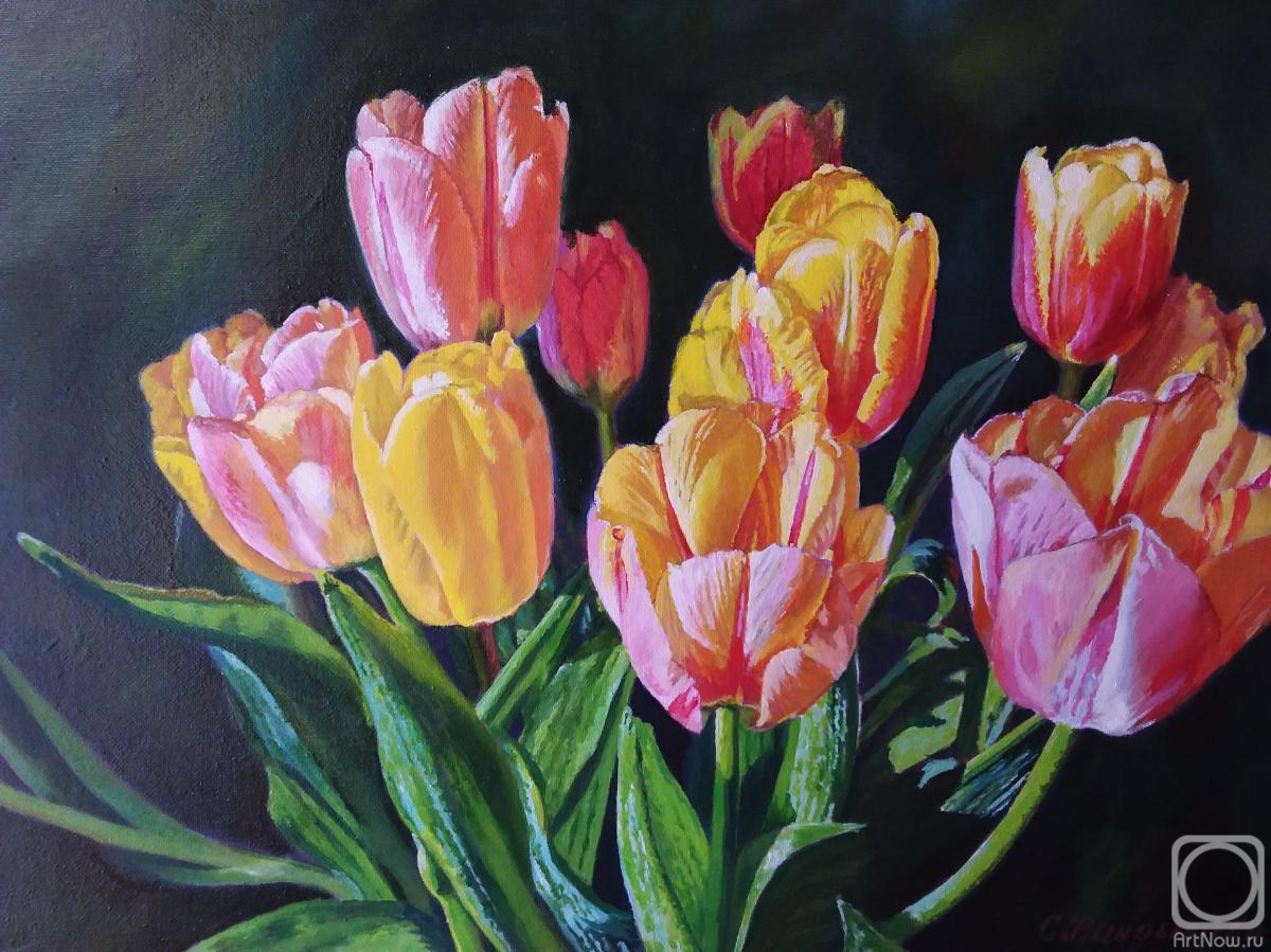 ������� ������ �� ������. ��������� ��������. ��������